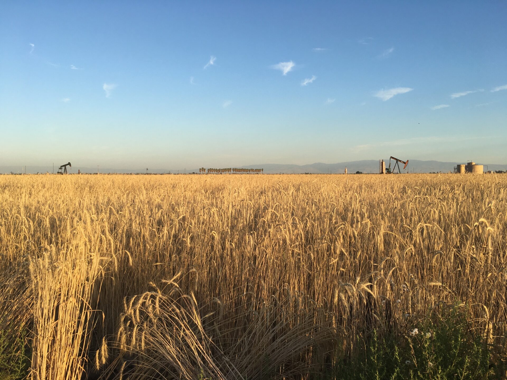 Studies look at “less bad” options for farmers facing groundwater cutbacks – SJV Water